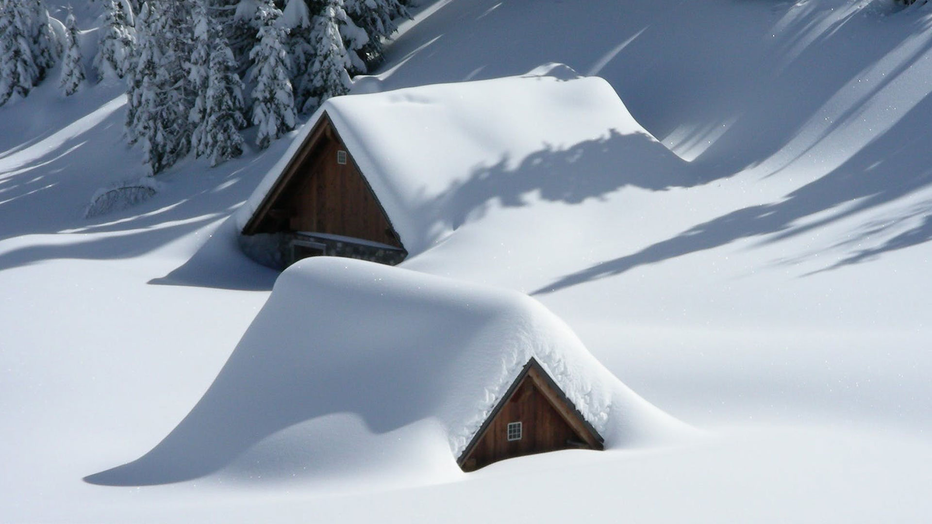 La tua vacanza in B&B Affittacamere B&B Corradini Castello di Fiemme Trentino Dolomiti